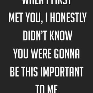 When I first met you, I honestly didn't know you were gonna be this important to me. #Friendship #Quotes